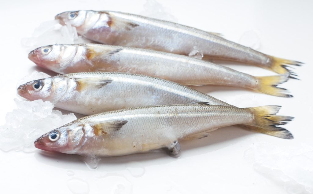 distintos tipos de pescado blanco